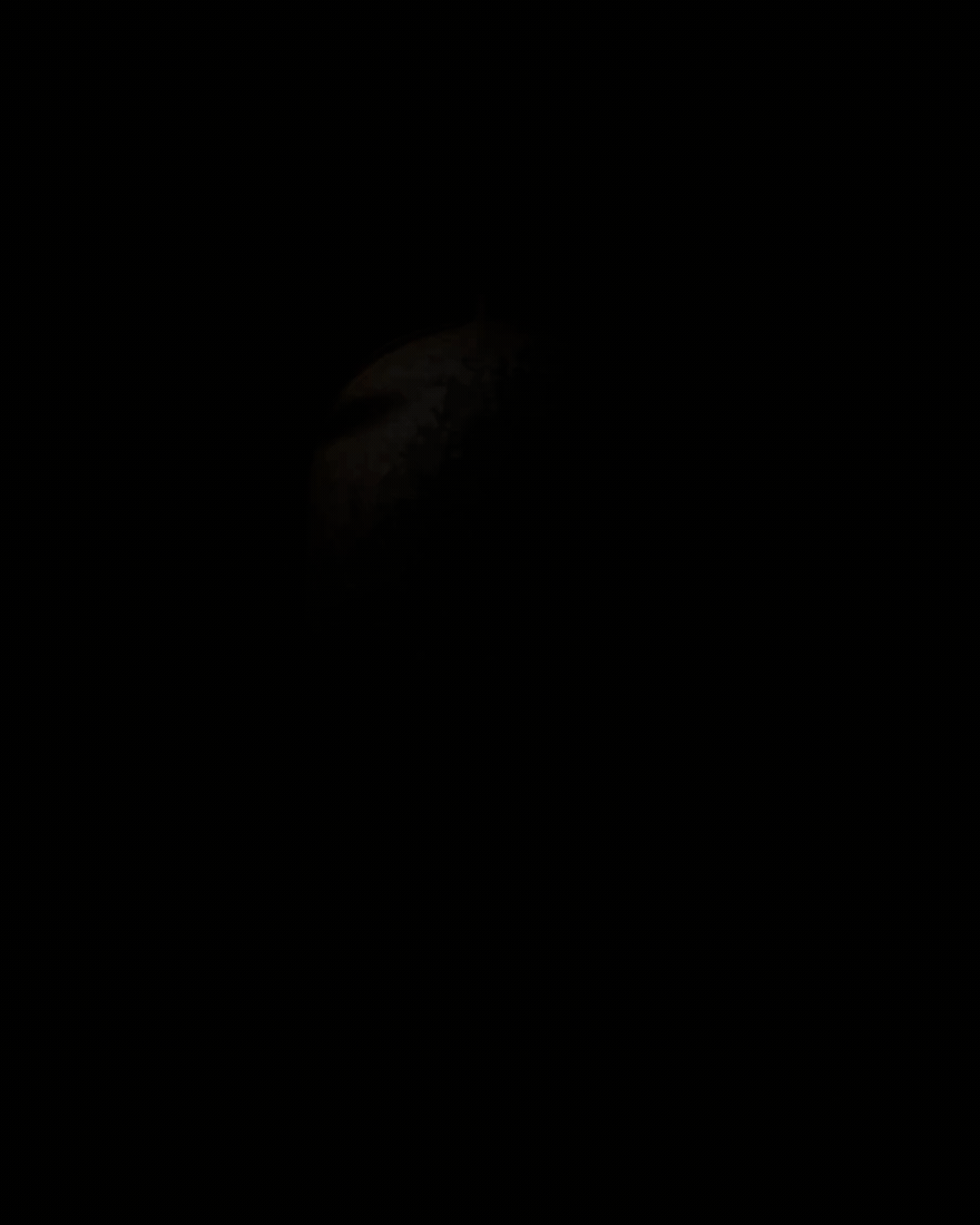 Kyoto After Dark